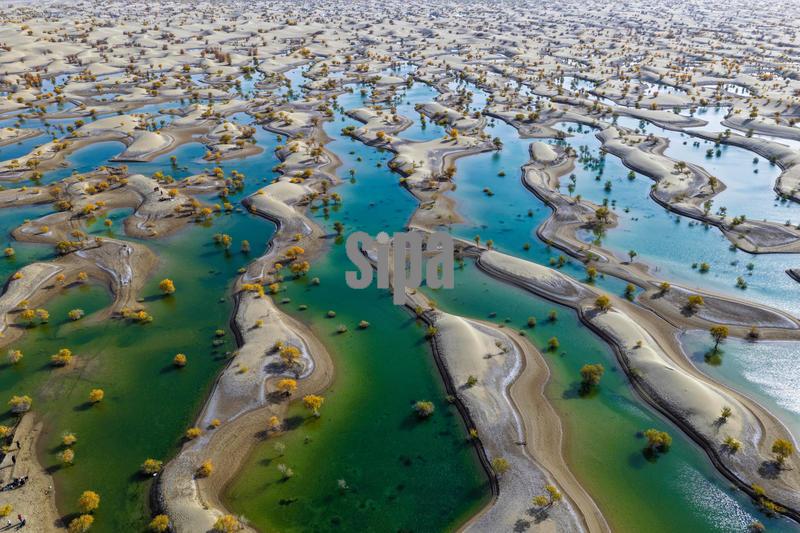 (251021) -- HOTAN, Oct. 21, 2025 (Xinhua) -- An aerial drone photo taken on Oct. 20, 2025 shows the scenery of populus euphratica forests dotted on a lake in Hotan County of the Hotan Prefecture, northwest China's Xinjiang Uygur Autonomous Region. Populus euphratica forests in Hotan of Xinjiang have entered the best viewing period recently, presenting a breathtaking autumn scene. (Xinhua/Xin Yuewei) (Photo by Xinhua/Sipa USA)