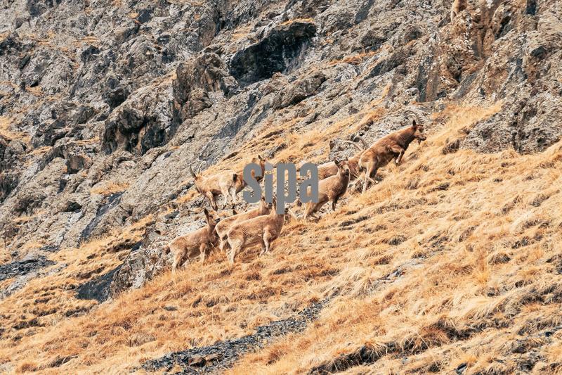 View from Urumqi Tianshan Glacier