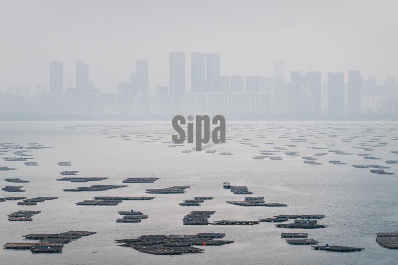 View of Shenzhen Bay