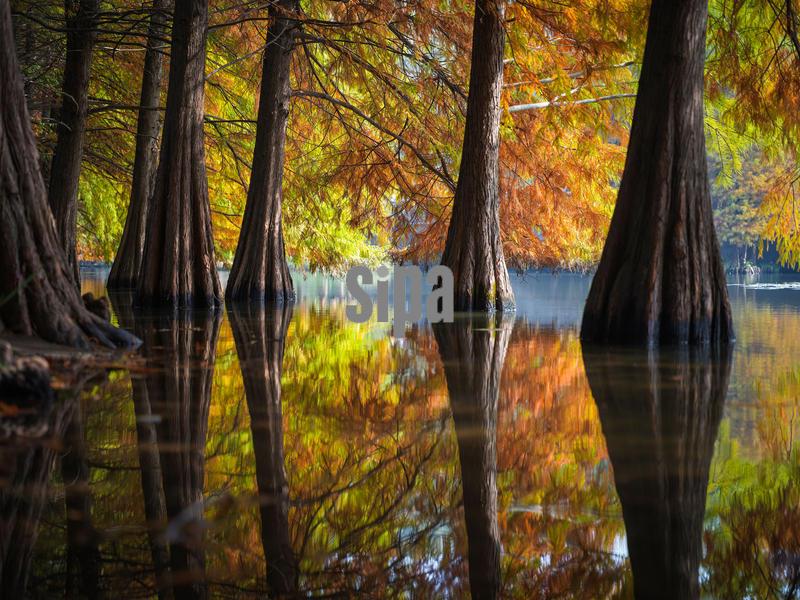 (251114) -- BEIJING, Nov. 14, 2025 (Xinhua) -- This photo taken on Nov. 14, 2025 shows a view at the imperial Xiaoling Mausoleum, the burial site of the Ming Dynasty's (1368-1644) founding emperor Zhu Yuanzhang, in Nanjing, east China's Jiangsu Province. (Photo by Su Yang/Xinhua) (Photo by Xinhua/Sipa USA)