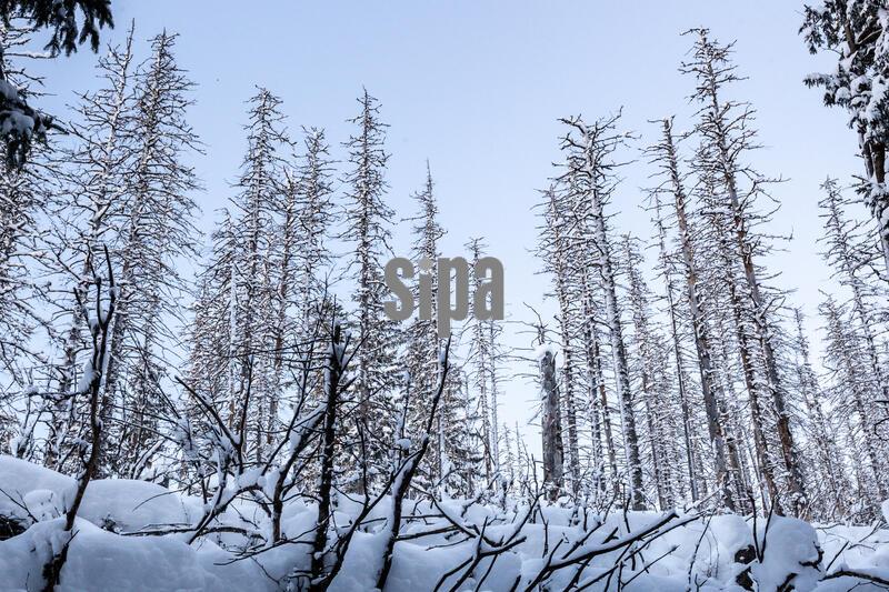 Winter in Tatra National Park,  Poland - 12 Jan 2025