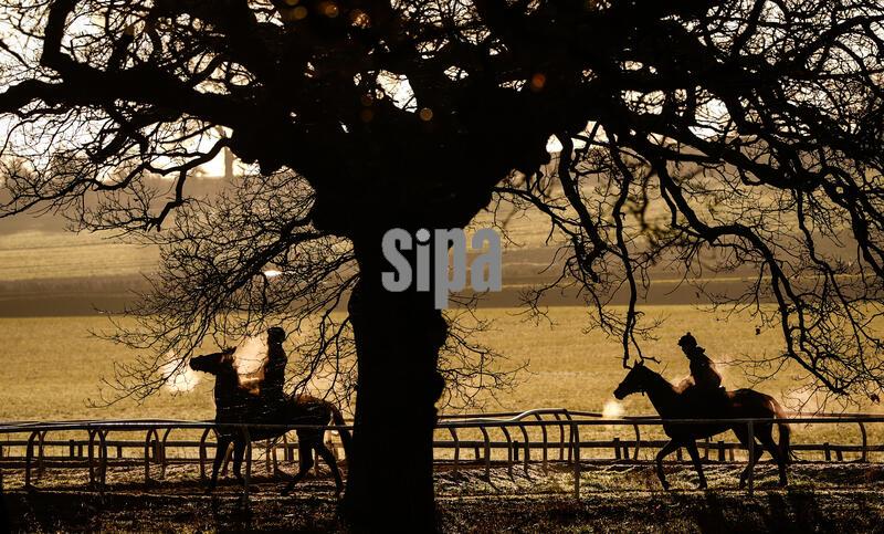 Sam Drinkwater Gallops - Wednesday January 14