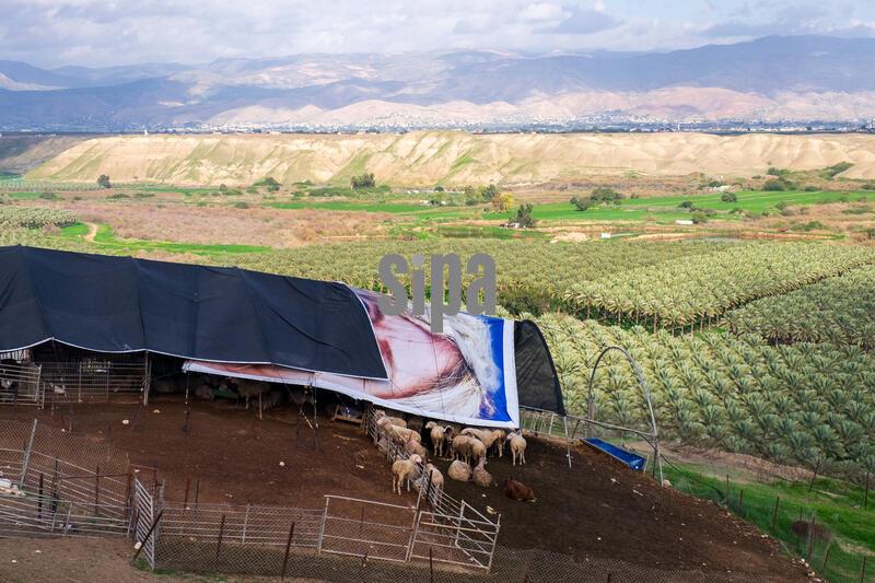 Jewish settlers establish solitary farms along the borders in Israel - 03 Feb 2026