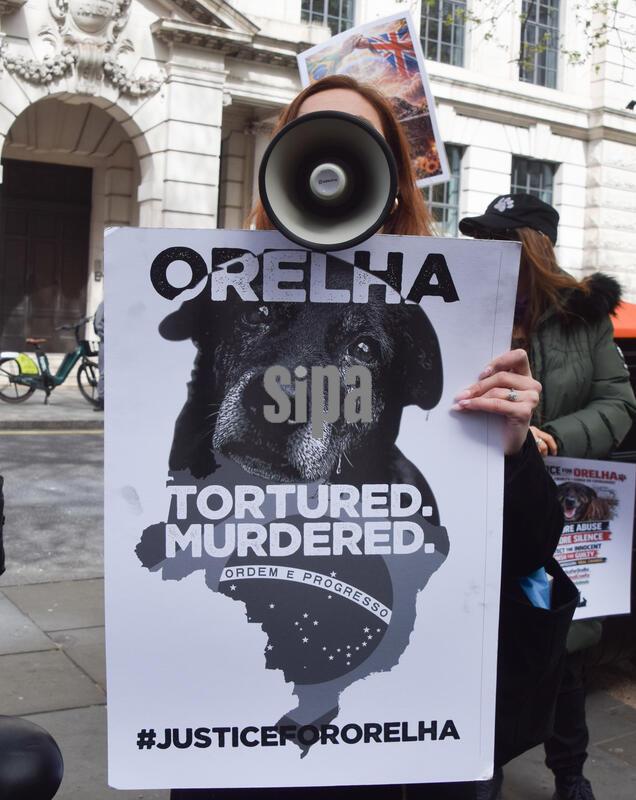 Justice for Orelha protest outside the Embassy of Brazil in London, UK - 11 Apr 2026