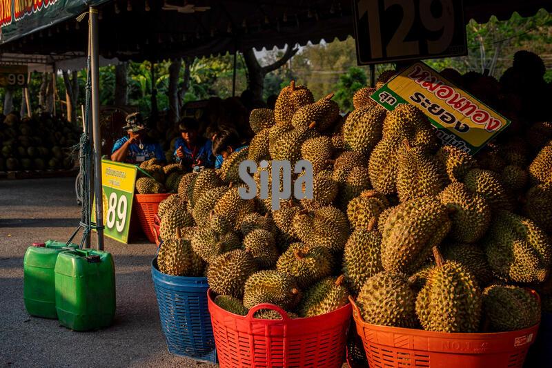 Ayutthaya Durian Market in Bang Ban, Thailand - 11 Apr 2026