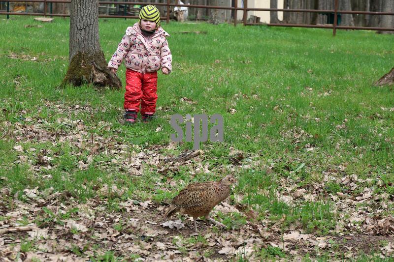 Rescued birds released back into wild at Kharkiv’s Feldman Ecopark