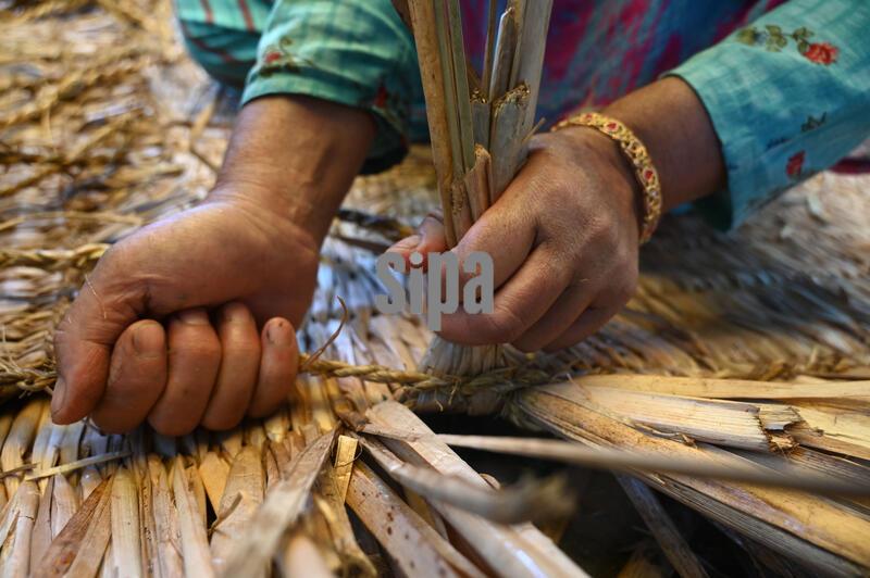 India: Kashmiri Artisans Making Traditional Reed Mat Wagoov