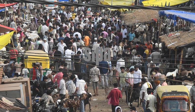 India: Animals For Sale At Livestock Market Ahead Of Eid al-Adha Bakrid Festival
