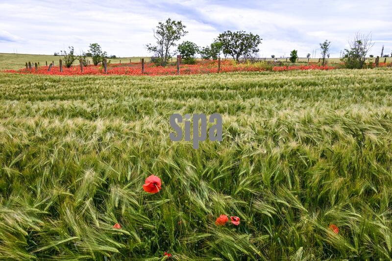 Mykolaiv region in southern Ukraine