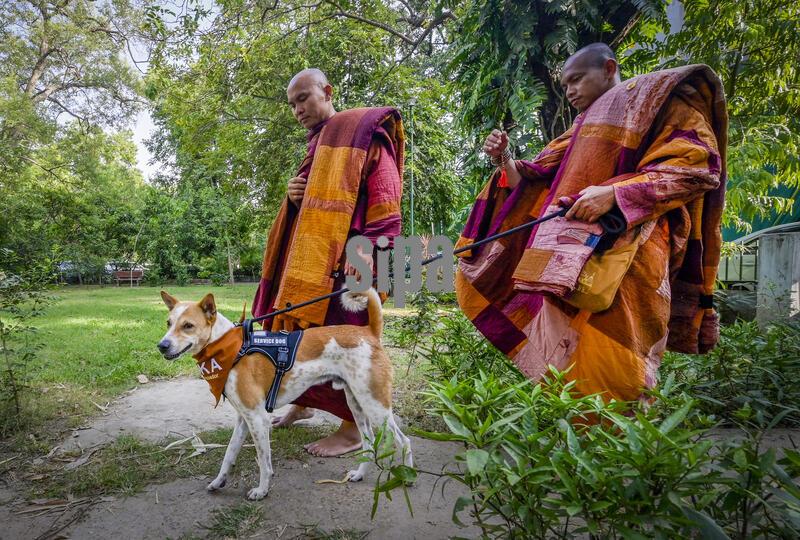 India: Aloka The Peace Dog In Delhi, Meets Maneka Gandhi