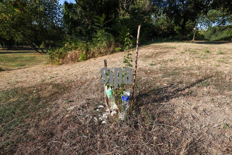 Italy: Heat and Drought Affect Parks and Historic Villas in Rome