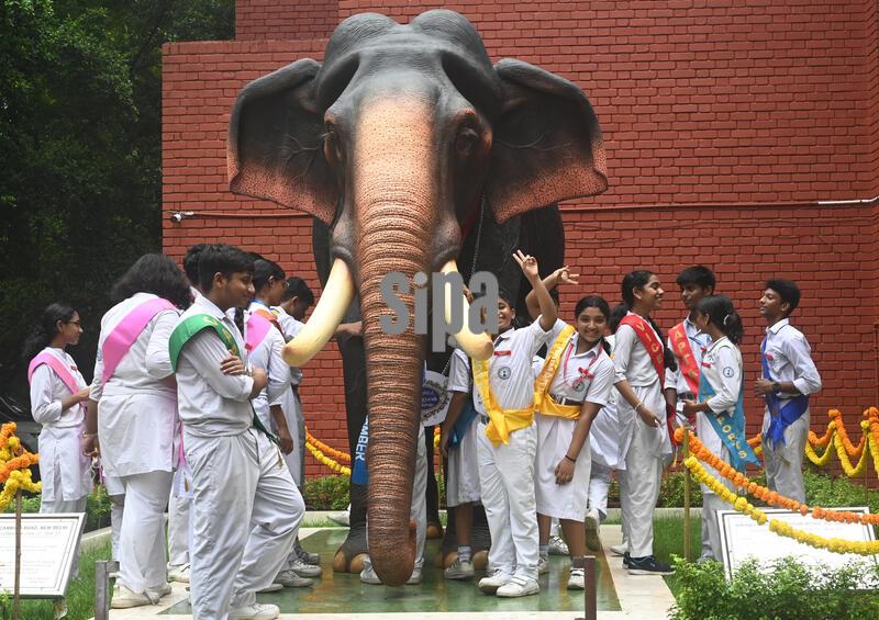 India: Students Pose With Life Size Elephant Statue On The Eve Of World Elephant Day