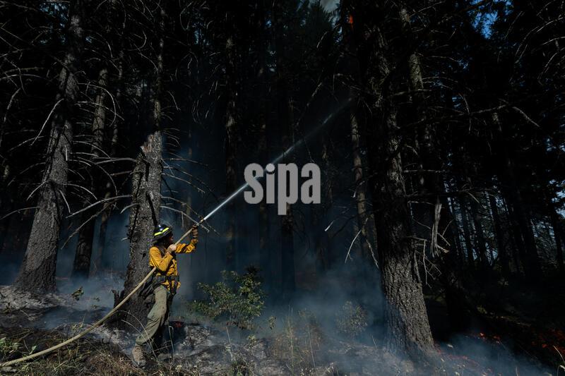 A wildland firefighter uses a firehose on a section of the MP-18 Fire in Hoopa, CA on August 17th, 2026. (Photo by Daniel Brown/Sipa USA)