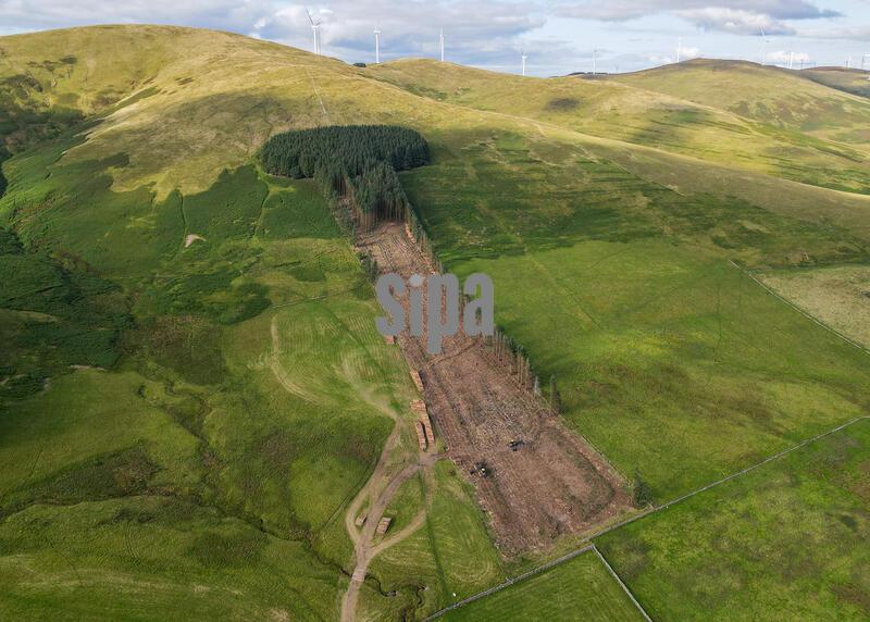 Scotland: Comically Shaped Woods Felled, Crawford, UK