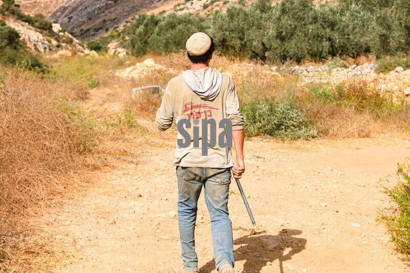 Israeli settlers attack olive harvesters in West Bank