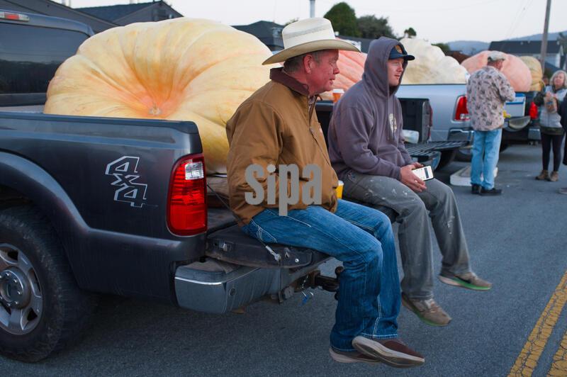 CA: Annual Pumpkin weigh-off