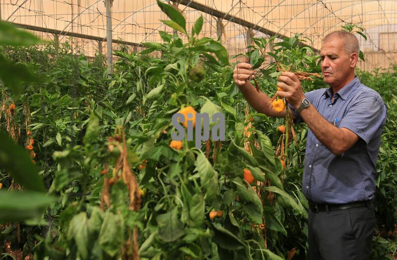 Shortage of groundwater in Nablus - 12 Oct 2026